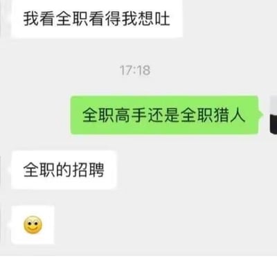 这是一段竖屏格式的聊天记录截图，对话内容充满了反差感：
1. 聊天者A表示“我看全职看得我想吐”
2. 聊天者B下意识联想到知名ACGNIP《全职高手》或《全职猎人》，疑惑询问“全职高手还是全职猎人”
3. 聊天者A回复“全职的招聘”，最后附上一个微笑表情

笑点来源于预期反差：看到“全职”第一反应是热门ACGNIP，结果实际是求职时看全职招聘信息看得烦躁想吐，形成了有趣的误解效果，体现了求职过程中的无奈情绪。