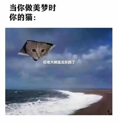 图片上方文字为“当你做美梦时 你的猫：”，下方是一张创意合成图。画面中一只猫的头部被剪辑成三角形UFO的形状，悬浮在深蓝色天空下的海滩上空，猫双眼瞪大，表情严肃。图片中间配有文字“哎老大碗里没东西了”，幽默地表现了当主人在做美梦时，猫咪以一种夸张的方式（伪装成UFO）出现，实际是在提醒主人自己的碗空了需要喂食。整体通过猫咪的“硬核”叫醒方式与主人美梦的对比制造笑点。
