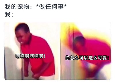 这是一张左右分栏对比的表情包，上方配有文字“我的宠物：*做任何事* 我：”，点明了场景设定。左侧画面中，一名穿红色上衣的男子弯腰、身体紧绷，表情激动亢奋，配文“啊啊啊啊啊啊！”；右侧画面里，该男子身体带有彩色模糊效果，弯腰做出亲昵的姿态，表情宠溺，配文“你怎么可以这么可爱！”。整张图生动地展现了宠物主人看到宠物做任何事时，都会从激动尖叫转变为疯狂喜爱的双标状态，精准戳中了广大养宠人士对宠物毫无抵抗力、无条件喜爱的心态，很容易引发养宠用户的共鸣。