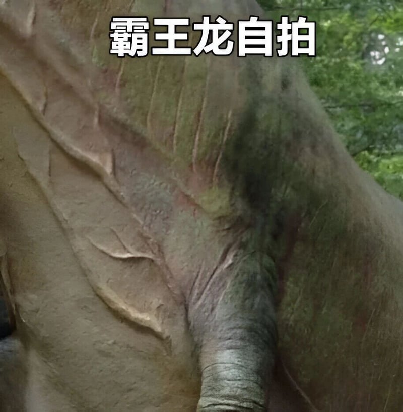 霸王龙