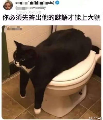 一张幽默梗图，画面主体是一只黑白相间的猫正蹲坐在马桶盖上，前爪悬空，表情严肃地注视着前方，仿佛在看守厕所。图片上方配有文字“你必须先答出他的谜语才能上大号”，将猫咪拟人化，营造出一种荒诞又搞笑的“如厕守门人”场景。