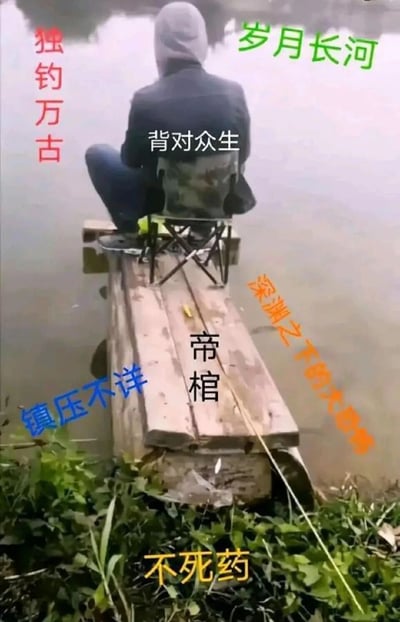 这是一张对现实钓鱼场景进行网文梗创作的趣味图片。画面中一名头戴连帽衫的人坐在架在水面的简易木板上的折叠椅中，背对镜头钓鱼，原本普通的场景被添加了大量源自辰东系列网文的中二风格文字：左上角标注「独钓万古」，右上角标注「岁月长河」，人物上方标注「背对众生」，承载人物的木板被标注为「帝棺」，左下角标注「镇压不详」，右下角标注「深渊之下的大恐怖」，画面底部标注「不死药」，将平凡的钓鱼场景赋予了网文里镇压天地不详、独守万古的顶级大佬设定，通过反差感制造出搞笑的玩梗效果。