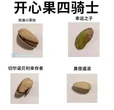 这是一张多图拼接的文字加注趣味梗图，以“开心果四骑士”为主题，展示了四种不同状态的开心果，并为它们配上了充满调侃意味的称呼：1. 左上角的“标准小家伙”：是正常开口、果仁清晰可见的普通开心果，代表吃开心果时最常见的状态；2. 右上角的“幸运之子”：是完全脱离果壳的完整开心果仁，不用剥壳就能直接食用，是吃开心果时最受欢迎的“幸运款”；3. 左下角的“切尔诺贝利幸存者”：果壳虽然开口，但果仁干瘪、状态看起来很差，用这个带有调侃性的称呼来吐槽这种品质不佳的开心果；4. 右下角的“臭傻逼滚”：是完全闭合、无法直接吃到果仁的开心果，用直白的吐槽表达了人们遇到这种开心果时的烦躁心情。整张图用幽默的方式还原了人们吃开心果时会遇到的各种情况，引发共鸣，充满生活趣味。