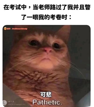 这是一张贴合学生考试心理的搞笑梗图，上方配文设定场景“在考试中，当老师路过了我并且瞥了一眼我的考卷时：”，图中是一只橘色猫咪，它眼神慌张委屈，抬头向上，神情低落，下方配文“可悲 Pathetic.”，精准还原了学生在考试时，担心自己答题情况不佳被老师察觉，内心充满焦虑、心虚，觉得自己答题状况糟糕的真实心情，用拟人化的猫咪表情生动表现了这种考试时的紧张不安心态。