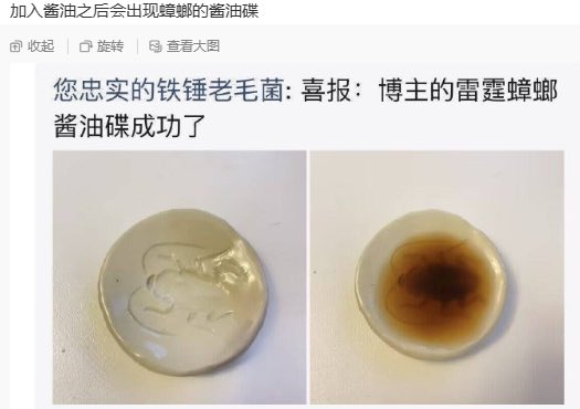 自制整蛊酱油碟