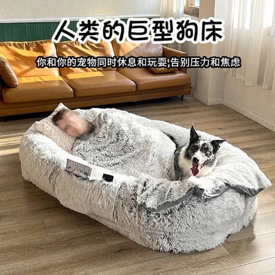 一张展示巨型狗床的室内照片，床上同时容纳了一名人类和一只边牧犬。人类头部枕在枕头上，身体埋在柔软的灰色毛绒床中；狗狗则开心地坐在床边，吐着舌头。背景是一个温馨的客厅，配有棕色皮质沙发和木质地板。图片上方有醒目的标题文字“人类的巨型狗床”，下方配有宣传语“你和你的宠物同时休息和玩耍，告别压力和焦虑”，整体营造出舒适放松的氛围。
