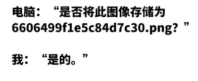图片为纯文字内容，模拟了电脑与用户的对话场景。上方文字为“电脑：‘是否将此图像存储为6606499f1e5c84d7c30.png？’”，下方文字为“我：‘是的。’”。通过简洁的对话形式，幽默地再现了用户日常使用电脑时遇到文件保存提示并确认的常见场景，容易引发网友共鸣。