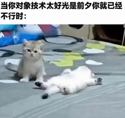 图片上方配有文字'当你对象技术太好光是前夕你就已经不行时：'，下方展示两只小猫的反差场景。一只浅棕色小猫端正坐在带有彩色几何图案的床上，眼神警惕地看向镜头；另一只白色小猫则四脚朝天仰躺在床，身体舒展，呈现出筋疲力尽的模样。通过小猫的状态幽默类比了因对方能力过强而提前耗尽精力的搞笑情景，画面生动有趣。