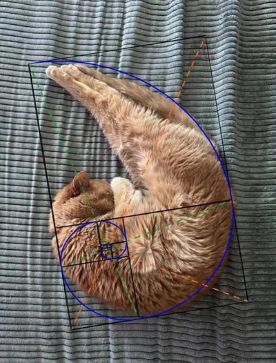 一只橘猫蜷缩成圆形，安详地睡在灰色条纹毯子上。图片被后期添加了多种几何线条——黑色矩形框、蓝色椭圆、绿色和橙色虚线，巧妙地勾勒出猫咪身体曲线与几何构图的契合度，仿佛猫咪天生就懂得黄金分割般的完美比例。猫咪的头部埋在前爪中，尾巴自然环绕身体，整体呈现出极度舒适的睡眠状态，而叠加的线条则为这日常萌态增添了一丝趣味与‘科学性’。