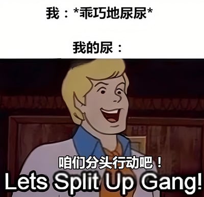 图片上半部分为文字“我：*乖巧地尿尿* 我的尿：”，下半部分是卡通人物Fred Jones的截图，他金发蓝领，咧嘴大笑，下方配有中文“咱们分头行动吧！”和英文“Lets Split Up Gang!”字幕。通过将“乖巧尿尿”的场景与“分头行动”的台词结合，形成幽默反差，调侃尿液不受控制的搞笑情景。
