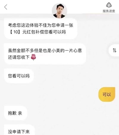 这张图片展示了一段非常典型的客服与用户之间的对话。客服为了补偿用户体验不佳，主动表示申请一个10元的红包补偿，还加了“也算小美的一片心意请您收下”这样温柔但无力的措辞。然而，用户答应后，客服却表示“没申请下来”，连续道歉，画面十分尴尬。这种对话风格带有自嘲和社交网络梗图的特质，常用来表达对敷衍式客服的无奈与调侃。

梗点体现在：
- 明明提出补偿，却以“没申请下来”收场。
- 客服用“亲”“小美”等亲昵称呼，风格幽默又略带讽刺。
- 适合用于网络吐槽客服或服务体验“雷声大雨点小”。
