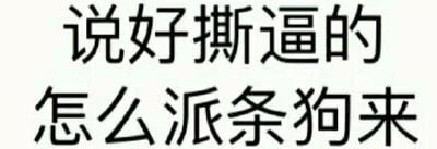 这是一张纯文字图片，背景为白色，上面用黑色字体写着“说好撕逼的 怎么派条狗来”。这句话带有明显的讽刺意味，通常用于网络争论场景中，表达对争论对手实力或表现的不屑，暗指对方水平低下，如同派了一条狗来应付本该激烈的“撕逼”（即争吵、争论）。