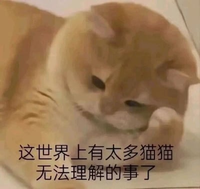 这是一张静态图文混排的表情素材图，主体是一只橘白相间的真实猫咪，它趴在某个平面上，低垂着眼帘，神情惆怅低落，看起来满是无奈。图片下方配有拟人化的文字“这世界上有太多猫猫无法理解的事了”，将猫咪的低落情绪与人类面对困惑、无奈之事时的心境相结合，通过拟人化的手法，用猫咪的口吻抒发对生活中难以理解、无力改变的事情的感慨，容易引发观者的情绪共鸣，常被用作社交平台上的表情包，来表达自己的迷茫、无奈情绪。