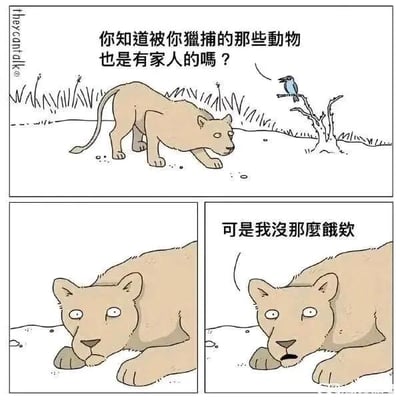 这是一则三格连环卡通漫画，采用拟人化的创作手法：
第一格中，一只蓝色小鸟站在枯树枝上，对着前方行走的母狮子严肃说教：“你知道被你猎捕的那些動物也是有家人的嗎？”，母狮子停下脚步看向小鸟；
第二格，母狮子趴在地上，眼神低垂，露出愧疚、低落的神情，似乎被小鸟的话触动；
第三格，母狮子抬起头，表情转为无奈，说出反转的台词：“可是我沒那麼餓欸”。
漫画的笑点在于打破了大众对“狮子捕猎是为了生存”的固有认知，用“不饿也捕猎”的荒诞回答消解了小鸟的道德说教，制造出反差感十足的搞笑效果，没有双关、谐音梗等内容。