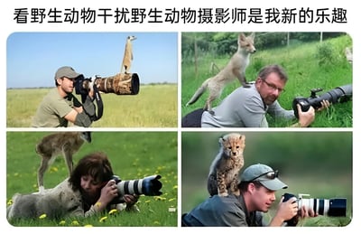 这是一张2x2网格布局的多图拼接梗图，上方配有文字“看野生动物干扰野生动物摄影师是我新的乐趣”。四张图片均为野生动物摄影师在户外拍摄时被动物“干扰”的搞笑瞬间：左上角图中一只狐獴站立在摄影师的长焦镜头上，摄影师正专注拍摄；右上角图中一只狐狸站在俯卧的摄影师背上，摄影师回头看向狐狸；左下角图中一位摄影师趴在开满黄色小花的草地上，身旁有一只鹿和一只小狗靠近；右下角图中一只猎豹幼崽趴在摄影师的肩膀上，摄影师转头与幼崽对视。整体画面充满趣味性，展现了野生动物与人类摄影师之间意外又温馨的互动场景。