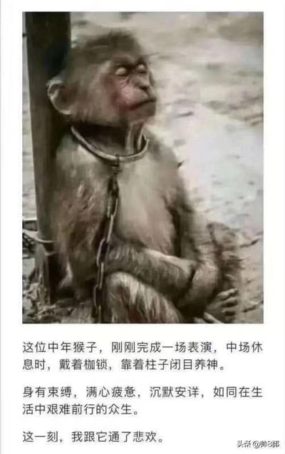 暂无描述