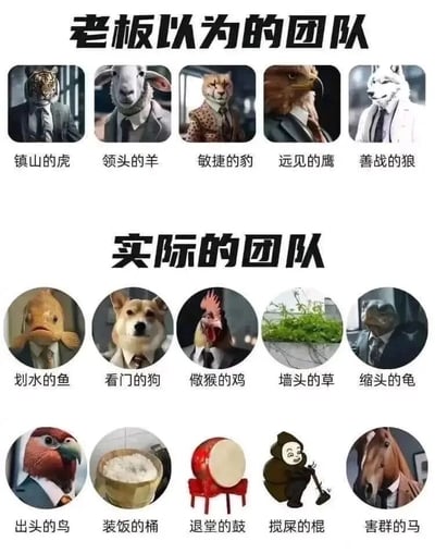 这张图片通过上下两部分的强烈反差，展现职场中团队的理想与现实差距。上半部分“老板以为的团队”包含五个AI生成的动物头部配西装的形象，分别对应“镇山的虎、领头的羊、敏捷的豹、远见的鹰、善战的狼”，这些称呼代表老板心中理想的团队成员——都是具备核心能力、能担当重任、推动团队发展的角色，形象严肃专业，符合职场精英的设定。下半部分“实际的团队”包含10个形象，其中前五个是动物头部配西装，后五个是物品或拟人化形象，对应“划水的鱼、看门的狗、做猴的鸡、墙头的草、缩头的龟、出头的鸟、装饭的桶、退堂的鼓、搅屎的棍、害群的马”，这些带有调侃和讽刺意味的称呼，精准描绘出职场中各类摸鱼划水、不作为、立场摇摆、逃避责任或起负面作用的员工状态，通过幽默夸张的方式，引发职场人士对自身团队状态的共鸣，讽刺了职场中理想与现实的巨大落差。