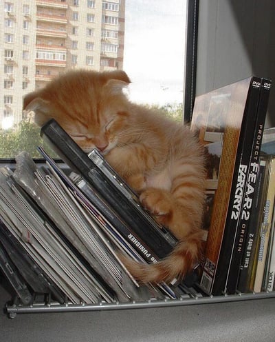 图片中一只小橘猫正蜷缩在一堆DVD/CD光盘上熟睡，双眼紧闭，小脑袋枕在光盘上，爪子自然蜷缩，尾巴垂在光盘边缘。背景是一扇窗户，窗外可见一栋多层居民楼，阳光透过窗户洒在猫咪身上，整个场景温馨治愈，展现了猫咪慵懒可爱的日常瞬间。