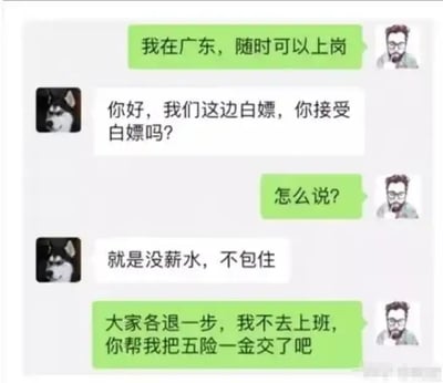 这是一组模拟聊天截图，内容围绕“白嫖”概念展开，双方用调侃的语气讨论工作和福利问题。其中，一方表示可以随时上班，另一方却开玩笑提出岗位是“白嫖”，即没薪水、不包住。结尾更是把职场“薅羊毛”内卷到极致——直接提出不上班但希望公司帮忙缴纳五险一金。整个对话充满职场社交网络上的幽默、戏谑和自嘲。

双关/暗示：这里的“白嫖”既用作网络流行语（指不付出代价却享受福利），同时通过极端化的条件，讽刺年轻人对“工作”“上班”“保障”等社会现象的态度，带有夸张和自黑色彩。