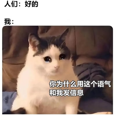 这是一张对比式表情包，上方文字为"人们：好的"，下方为"我："并配有一只表情疑惑的猫，猫的下方有文字"你为什么用这个语气和我发信息"。图片通过对比普通人与过度思考者对简单回复的不同反应，幽默地表现了社交中的过度解读现象。