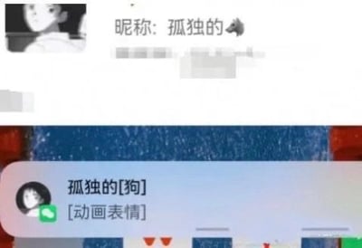 图片由上下两张手机截图拼接而成。上半部分是某个资料页或昵称展示页，左侧为黑白动漫女生头像，文字写着“昵称：孤独的”，其后跟着一个灰色侧面狗头表情。下半部分是微信消息通知，头像右下角带有绿色微信图标，发送者名称被显示为“孤独的[狗]”，下方消息摘要为“[动画表情]”。笑点在于狗头表情没有在通知中正常显示，而是被转换成文本“[狗]”，使昵称从“孤独的加狗头表情”变成了字面意义上的“孤独的狗”，形成自嘲、尴尬又滑稽的效果。