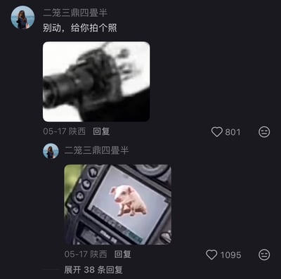 这是一张社交平台评论区截图，用户“二笼三鼎四罍半”先后发布两条连续评论：第一条配文“别动，给你拍个照”，配图是模糊的朝向镜头方向的相机画面，仿佛正在对着屏幕前的用户拍摄；第二条评论配图为相机背面的显示屏，屏幕中显示的刚拍摄的内容是一只坐着的小猪，用这种转折的玩笑方式调侃屏幕前的观看者是小猪，属于搞笑整蛊类网络梗。