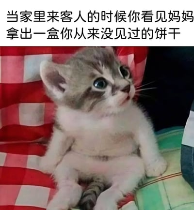 这是一张充满生活化趣味的文字加注猫咪表情包，图片上方配有文字“当家里来客人的时候你看见妈妈拿出一盒你从来没见过的饼干”，图中的小奶猫睁着圆溜溜的大眼睛，嘴巴微张，抬头望向上方，神情惊讶中带着疑惑与些许委屈，将孩子发现妈妈把自己从未吃过的饼干留着招待客人时的震惊、不解又有点小委屈的情绪拟人化地展现出来，精准戳中很多人童年时的相似经历，充满搞笑与共鸣感。