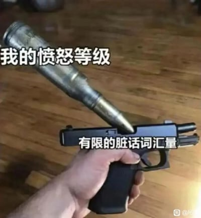 这是一张经过P图改编的搞笑情绪梗图，画面中一只真人的手握着一把手枪，手枪的枪管处被强行塞入了一枚尺寸远大于手枪本身的超大子弹，子弹上方配文“我的愤怒等级”，手枪部分配文“有限的脏话词汇量”。通过这种视觉上的强烈反差，生动又幽默地表现出一个人内心的愤怒情绪已经达到了极高的等级，但自身脏话词汇量有限，无法用足够的脏话来宣泄内心愤怒，那种憋屈又好笑的状态。
