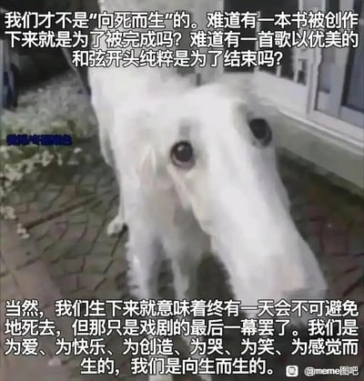 这是一张经过P图改编的文字加注类meme梗图，主体是一只被修改成长长脸部的白色狗狗，它趴在户外的砖石地面上，眼神平静地看向镜头。图中上下两段文字传递出积极的生命观：上段以反问的方式驳斥“向死而生”的观点，用书籍创作、歌曲开篇的例子说明事物的存在并非为了结束；下段则点明死亡只是生命的最后一幕，生命的意义在于过程中体验爱、快乐、创造以及各种情绪，倡导“向生而生”的生活态度。