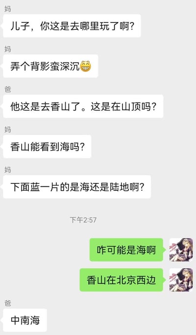 这是一段微信家庭群的聊天记录截图：妈妈看到孩子发的背影动态，好奇询问去处，还调侃背影很“深沉”；爸爸猜测孩子去了香山，询问是否在山顶；妈妈接着疑惑香山能不能看到海，纠结下方蓝色区域是海还是陆地；孩子解释香山在北京西边，不可能看到海；最后爸爸回复“中南海”，对话充满了家人间的轻松趣味，没有双关、谐音梗等内容。