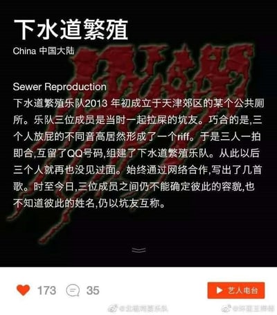 这是一张来自微博的社交媒体截图，属于图文混排的静态图，内容是虚构的“下水道繁殖乐队”的搞笑介绍：该乐队2013年初成立于天津郊区的公共厕所，三位成员是一同如厕的“坑友”，因放屁的不同音高形成riff而组队，之后仅通过网络合作创作，至今不知道彼此的姓名与容貌，仍以“坑友”互称。图中还显示了该内容的点赞数173、评论数35，以及“艺人电台”按钮，底部带有@北辙南辕乐队 和 @拆蛋王师傅的微博水印，整体以荒诞、无厘头的黑色幽默来调侃乐队的组建方式，制造搞笑效果。
