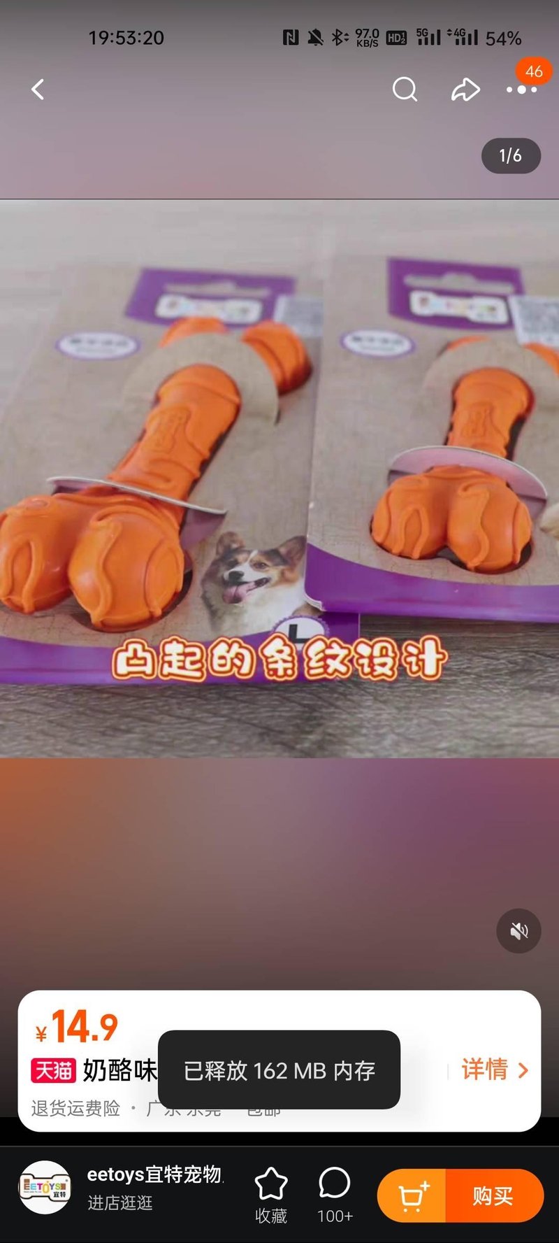 柯基犬