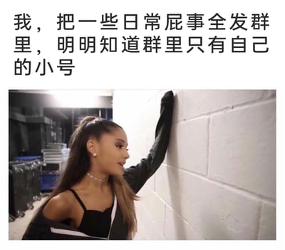 这是一张图文结合的表情包，上方配有自嘲文字“我，把一些日常屁事全发群里，明明知道群里只有自己的小号”，下方是美国歌手爱莉安娜·格兰德侧身撑着白色砖墙的照片，她的姿态略带无奈感，精准地表现出当代年轻人想要分享日常却找不到合适对象，只能通过自建仅含自己小号的群来抒发情绪的孤独又自嘲的状态，戳中了部分人独自消化日常、缺乏分享出口的心境。