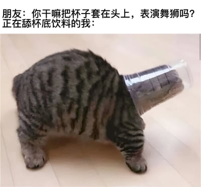 图片上方为对话文字：“朋友：你干嘛把杯子套在头上，表演舞狮吗？正在舔杯底饮料的我：”。下方是一只灰色虎斑猫，头部被套着透明塑料杯，身体弓起站在浅色木地板上，姿态像是在努力舔舐杯底残留饮料。朋友将杯子套头误认为舞狮表演，与猫咪实际舔杯底的行为形成幽默反差，杯子造型也神似舞狮头饰，增强搞笑效果。