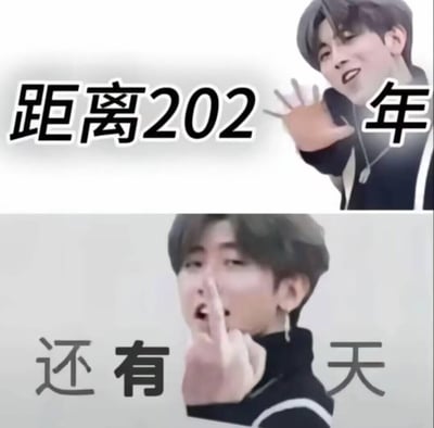 这是一张由蔡徐坤的经典表情包素材拼接而成的玩梗图，分为上下两部分：上半部分蔡徐坤比出五根手指的手势，搭配文字“距离202 年”；下半部分他比出中指的手势，搭配文字“还有 天”。结合手势的数字，实际表达的是“距离2025年还有1天”，通过文字错位和蔡徐坤的表情包玩倒计时的梗，风格戏谑搞笑。