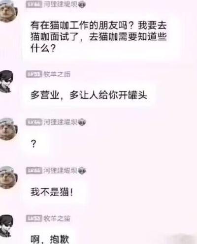 这是一张来自聊天软件的群聊对话截图，内容围绕“猫咖”面试展开误会。“猫咖”是指可以和猫互动的咖啡馆，有人询问去猫咖面试需要了解什么，结果被当成猫玩梗，对方建议要多“营业”，多让人开罐头，引发身份误会笑料。这种冷幽默玩梗展现了互联网群聊里的日常乐趣，适合用于日常玩笑、斗图。

本图有双关和拟人元素，如将“猫咖”联想成“猫”的身份，把“开罐头”作为工作内容幽默化。