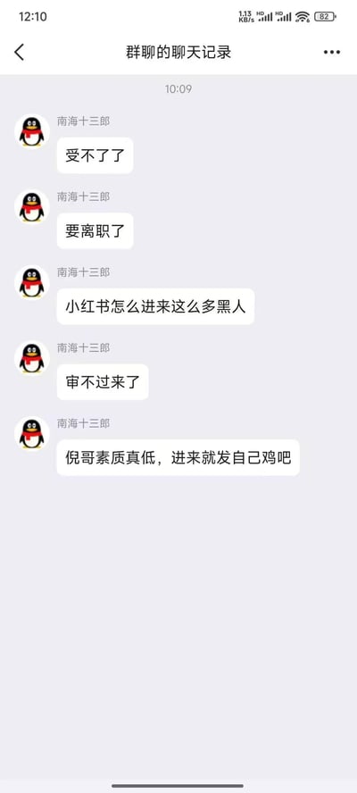 这是一张QQ群聊的聊天记录截图，群成员「南海十三郎」连发数条消息吐槽工作：先是表示自己受不了了要离职，接着抱怨小红书涌入大量黑人用户，自己审核不过来，还指责这些用户素质低下，进来就发布不雅内容。整体呈现出内容审核人员因工作内容和压力濒临崩溃的状态。
