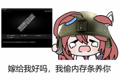 图片左侧为电脑屏幕截图，显示一根内存条及相关文字说明：“在服务器内存是指计算机中进行各种操作的程序以及运算数据的一种存储材料。”；右侧为卡通女孩形象，她有着粉色长发，戴着军绿色头盔，双眼含泪，表情悲伤。图片底部配有文字“嫁给我好吗，我偷内存条养你”。整体通过将严肃的科技产品（内存条）与浪漫的求婚场景结合，用女孩的悲伤表情和荒诞的求婚理由形成反差，营造出搞笑又无奈的效果。