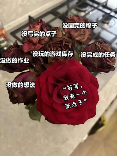 图片主体是一束玫瑰花，其中大部分玫瑰已经枯萎、变成棕褐色，仅有中央一朵是鲜艳的红色玫瑰。枯萎的玫瑰上分别叠加了文字：'没写完的点子'、'没画完的稿子'、'没玩的游戏库存'、'没完成的任务'、'没做的作业'、'没做的想法'，而新鲜的红玫瑰上则写着：'等等，我有一个新点子'。图片通过枯萎玫瑰象征堆积的未完成事项，新鲜玫瑰代表突然冒出的新想法，幽默地展现了人们在面对众多未完成任务时仍不断产生新点子的矛盾状态，引发共鸣。