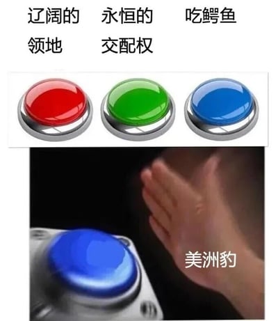 图片上半部分展示三个彩色按钮，从左到右分别为红色（标签“辽阔的领地”）、绿色（标签“永恒的交配权”）、蓝色（标签“吃鳄鱼”）。下半部分是一只手正在按压蓝色按钮的特写，按钮旁配有“美洲豹”文字。通过将宏大的生存权益与简单直接的“吃鳄鱼”选项对比，营造出幽默反差效果，暗示美洲豹在选择时的“务实”偏好。