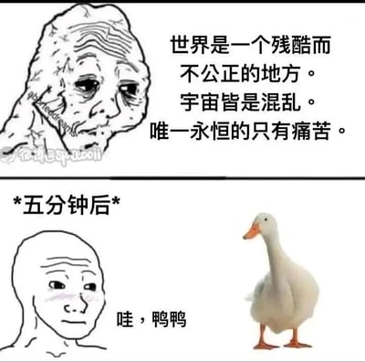 这是一张上下拼接的连环图文梗图，上半部分展示了一个满脸皱纹、神情颓废厌世的Wojak衍生抽象人物，搭配充满消极情绪的文字“世界是一个残酷而不公正的地方。宇宙皆是混乱。唯一永恒的只有痛苦。”，传递出强烈的emo、厌世感；下半部分标注“*五分钟后*”，展示了一个神情柔和带欣喜的同款抽象人物，旁边是一只站立的白色家鸭，配文“哇，鸭鸭”，呈现出人物被可爱的鸭子瞬间治愈、情绪发生巨大反转的状态。整张图通过强烈的情绪反差，幽默地表现了可爱事物对负面情绪的强大消解能力，容易引发网友共鸣。