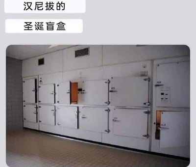 这是一张充满黑色幽默的玩梗图片，图片上方配有分两行的文字“汉尼拔的
圣诞盲盒”，主体画面是停尸房的一排白色冷藏柜，其中有两个柜门处于打开状态。结合汉尼拔是《沉默的羔羊》系列中食人魔的经典设定，将停尸房的冷藏柜恶搞成圣诞盲盒，利用恐怖元素和圣诞温馨元素的强烈反差，制造出荒诞搞笑的黑色幽默效果，暗示这些“盲盒”里装的是尸体，对应汉尼拔的食人属性。
