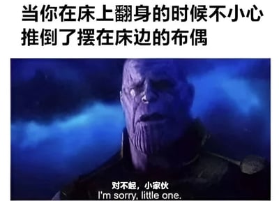 这张梗图上方配有文字“当你在床上翻身的时候不小心推倒了摆在床边的布偶”，下方是电影《复仇者联盟》中灭霸的严肃特写镜头，图片底部有灭霸的台词“对不起，小家伙”及英文翻译“I'm sorry, little one.”。通过将推倒布偶这一日常小事与灭霸这一宇宙级反派的严肃形象结合，形成强烈反差萌，制造幽默效果。