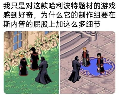 这是一张图文混排的吐槽内容，上方是玩家的吐槽文字，下方是左右两张哈利波特题材像素游戏的截图。左侧截图展示了霍格沃茨户外草地场景，斯内普背对镜头站在画面右侧，哈利、罗恩等角色面对他站立；右侧截图则是霍格沃茨的室内平台区域，斯内普同样背对镜头，哈利和另一角色站在蓝色法阵上面对他。两张截图中，斯内普的长袍下摆都清晰勾勒出明显的臀部轮廓，在像素风格的建模中显得格外突出，与上方吐槽文字呼应，表达了玩家对游戏制作组在这个特殊部位投入过多细节设计的疑惑与调侃。