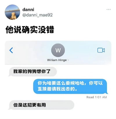 社交媒体用户danni发布的帖子，内容为与名为William Hinge的用户的聊天记录截图。对话中William以“我家的狗狗想你了”作为委婉邀请，danni调侃其不必如此委婉，William则回应“但是这招更有用”。帖子顶部文字“他说确实没错”呼应了William的说法，整体展现了一种幽默的社交互动场景。