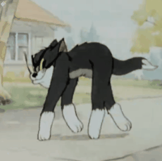一只黑白相间的卡通黑猫在住宅区的小路上以一种奇特的姿势行走，它的前腿向内弯曲，身体压低，步伐显得滑稽又可爱。背景中可见树木和房屋，整体画面呈现出轻松有趣的动画风格。