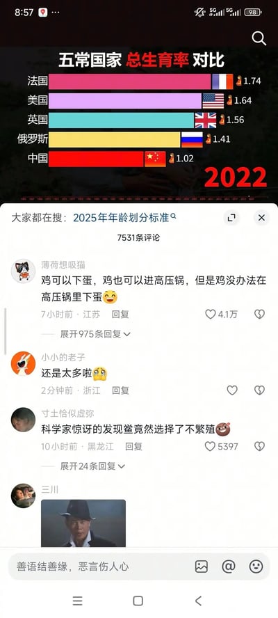 图片展示了2022年联合国安理会五个常任理事国的总生育率对比条形图，其中法国以1.74居首，中国以1.02垫底。图表下方显示了相关的用户评论区，有网友用幽默比喻和调侃的方式讨论这一数据，如"鸡可以下蛋，鸡也可以进高压锅，但是鸡没办法在高压锅里下蛋"等评论。