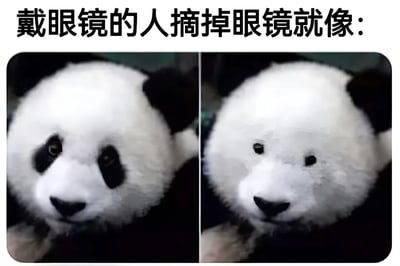 这是一张左右对比的幽默梗图，上方配有文字'戴眼镜的人摘掉眼镜就像：'。左侧图片是一只熊猫的特写，其黑色的眼部区域清晰分明，如同戴着眼镜；右侧图片是同一只熊猫，但眼部区域被模糊处理，显得轮廓不清。通过熊猫眼部从清晰到模糊的对比，形象地调侃了近视人群摘掉眼镜后视觉模糊的状态，引发戴眼镜人群的共鸣，整体风格轻松搞笑。