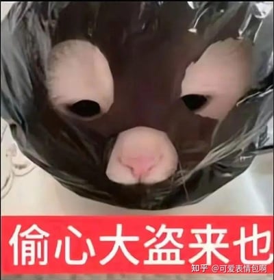 图片主体是一只猫咪，其头部被黑色塑料袋覆盖，仅露出两只圆圆的黑色眼睛和一个粉色的小鼻子，表情呆萌可爱。图片底部有一条红色横幅，上面用白色加粗字体写着“偷心大盗来也”，以幽默夸张的方式形容猫咪的可爱足以“偷走人心”。整体画面充满趣味性，突出了猫咪的萌态与文字的反差萌效果。
