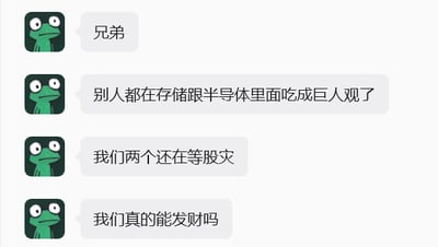 这是一张社交软件的聊天记录截图，发送消息的账号使用绿色大眼悲伤蛙作为头像，共发送四条消息：首先称呼对方为兄弟，随后用“吃成巨人观”的夸张表述感慨其他投资者在存储、半导体相关的股票板块行情中盈利极多，而自己和对方却一直预判会发生股灾、持币等待抄底，最后发出“我们真的能发财吗”的疑问，整体是投资者自嘲踏空热门行情、预判错市场走势的无奈内容。